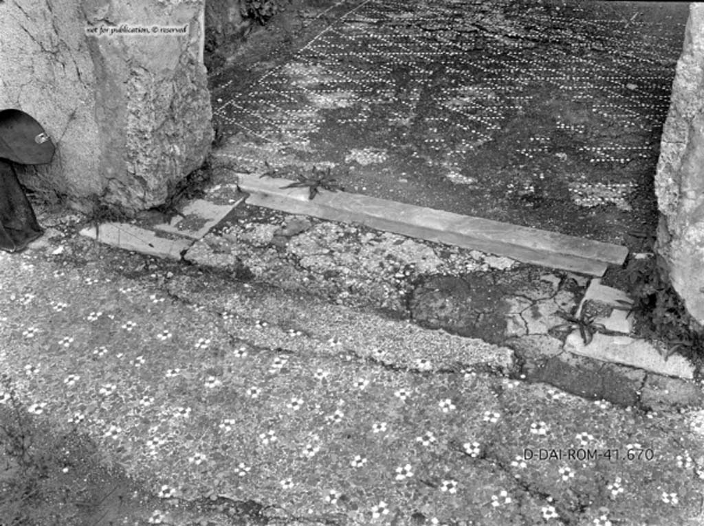 VII.2.16 Pompeii. c.1930. Doorway to room 5, from east portico.
DAIR 41.670. Photo © Deutsches Archäologisches Institut, Abteilung Rom, Arkiv.
See Pernice, E.  1938. Pavimente und Figürliche Mosaiken: Die Hellenistische Kunst in Pompeji, Band VI. Berlin: de Gruyter, (described as cubiculum “r”, 
see tav. 26,5, above.)