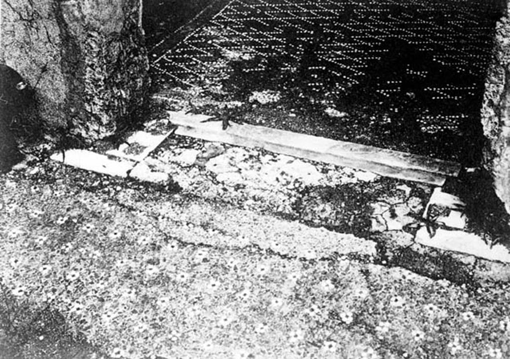 VII.2.16 Pompeii. W.6. 
Photograph of mosaic flooring, and room threshold, (exact location inside this house unknown, but according to Pernice “cubiculum “r”).    
Photo by Tatiana Warscher. Photo © Deutsches Archäologisches Institut, Abteilung Rom, Arkiv.