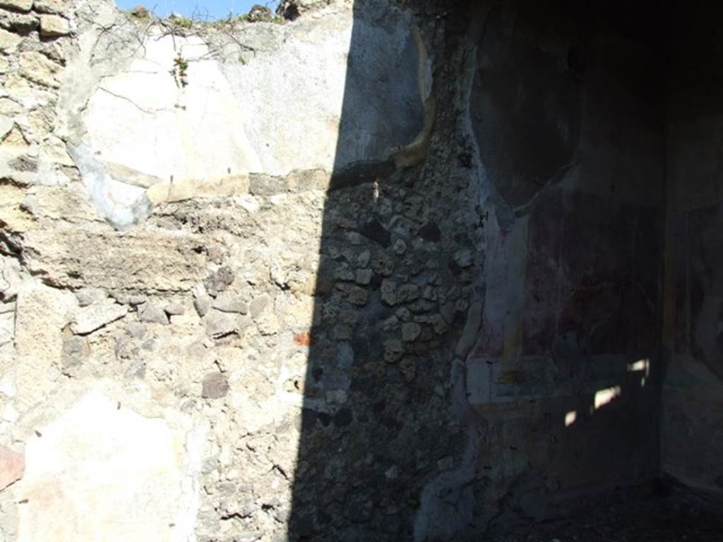 VII.2.16 Pompeii.  March 2009.  Room 10. Oecus.  North wall.