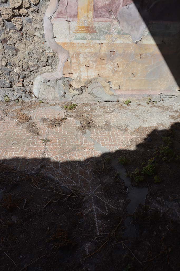 VII.2.16 Pompeii. October 2019. Oecus 10, looking north across flooring.
Foto Annette Haug, ERC Grant 681269 DÉCOR.