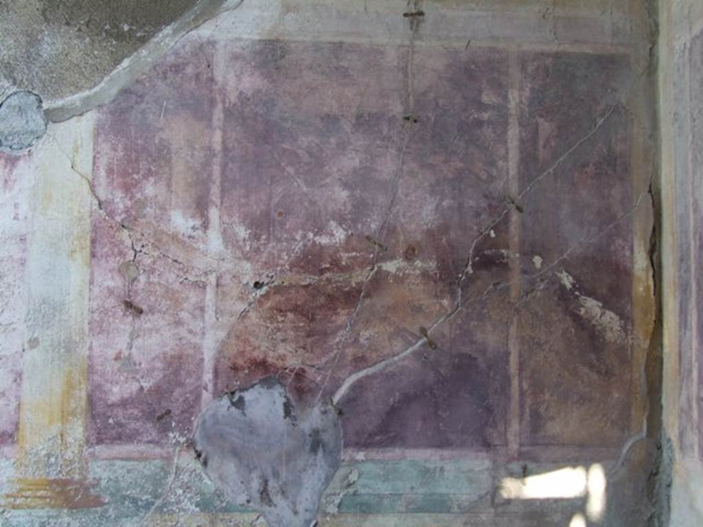 VII.2.16 Pompeii. March 2009. Room 10, detail from north wall of oecus.  
.
