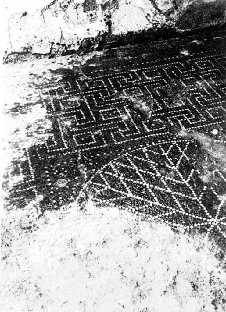 230911 Bestand-D-DAI-ROM-W.0005.jpg
VII.2.16 Pompeii. W.5. Room 10, mosaic floor.
Photo by Tatiana Warscher. With kind permission of DAI Rome, whose copyright it remains. 
See http://arachne.uni-koeln.de/item/marbilderbestand/230911