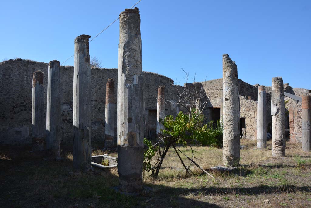 VII.2.16 Pompeii. October 2019. Looking north-west across peristyle from south end of east portico.
Foto Annette Haug, ERC Grant 681269 DÉCOR.