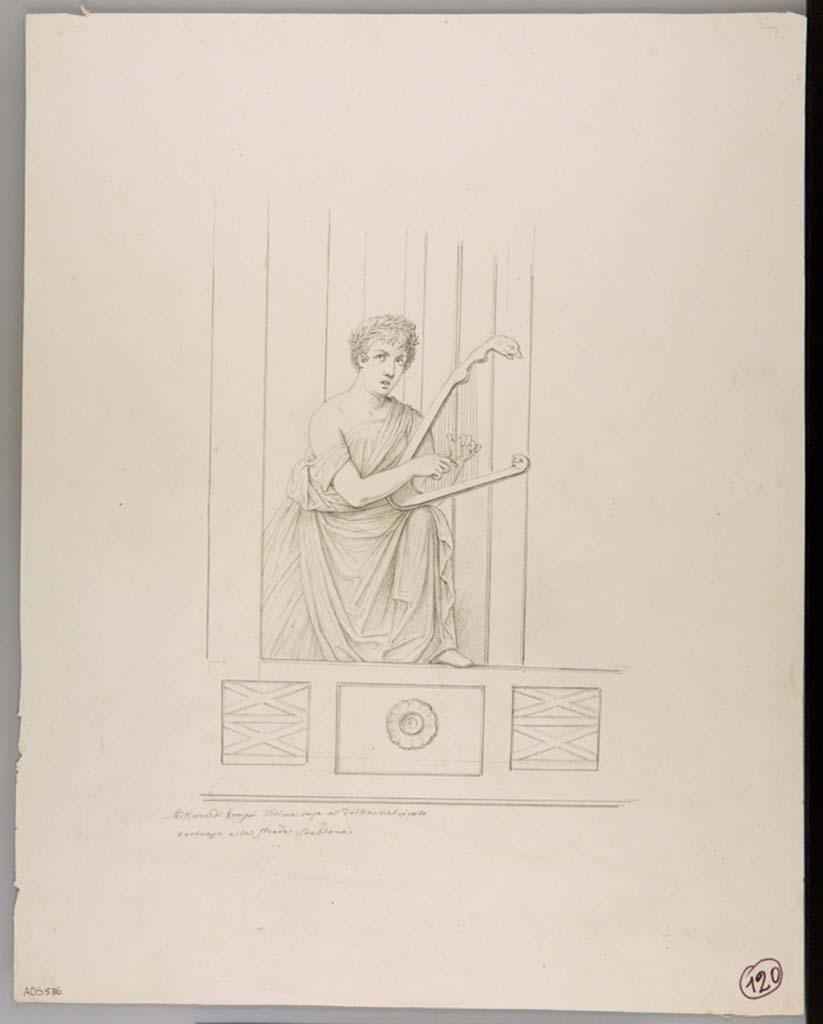 VII.2.16 Pompeii. Drawing attributed to Nicola La Volpe, of the Muse Erato from the left (east) side of the south wall.
Now in Naples Archaeological Museum. Inventory number ADS 536.
Photo © ICCD. http://www.catalogo.beniculturali.it
Utilizzabili alle condizioni della licenza Attribuzione - Non commerciale - Condividi allo stesso modo 2.5 Italia (CC BY-NC-SA 2.5 IT)