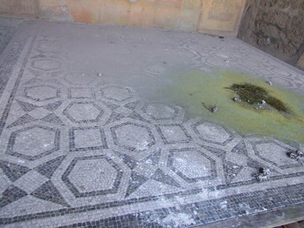 VII.2.16 Pompeii. March 2009. Room 17, floor mosaic in exedra.