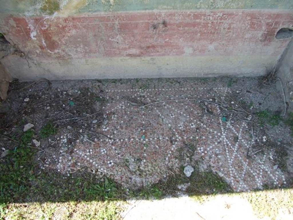 VII.2.16 Pompeii. March 2009. Decorative floor in lararium niche in west wall of portico. According to Boyce, along the west portico there were two large niches, one with wooden doors, the other recess for two large cupboards. On the ground before the one with wooden doors, were found the following bronze statuettes:
Fortuna wearing a turreted crown and holding a cornucopia and rudder.
Minerva wearing a helmet and holding a spear and patera.
Apollo with quiver on his shoulder holding a laurel branch and patera.
A wreathed Lar, standing on a base of lead.
The bust of a female figure from a herm.
Also found were other objects, among them gold earrings, a bronze bracelet, 373 pieces of coral and a small amphora of glass. There seemed to be a discrepancy as to the actual find spot, as Boyce remarks that on page 19 of the Giorn.Scavi, this is given as within the niche fitted with the wooden doors.
On page 26, it says found on the ground before it.  Fiorelli agrees with them being found on the ground before the niche.
Giorn.Scavi, N. S., I, 1868, pp.19, 26.
See Boyce G. K., 1937. Corpus of the Lararia of Pompeii. Rome: MAAR 14. (p. 62, no. 251)
See Pappalardo, U., 2001. La Descrizione di Pompei per Giuseppe Fiorelli (1875). Napoli: Massa Editore. (p. 81)