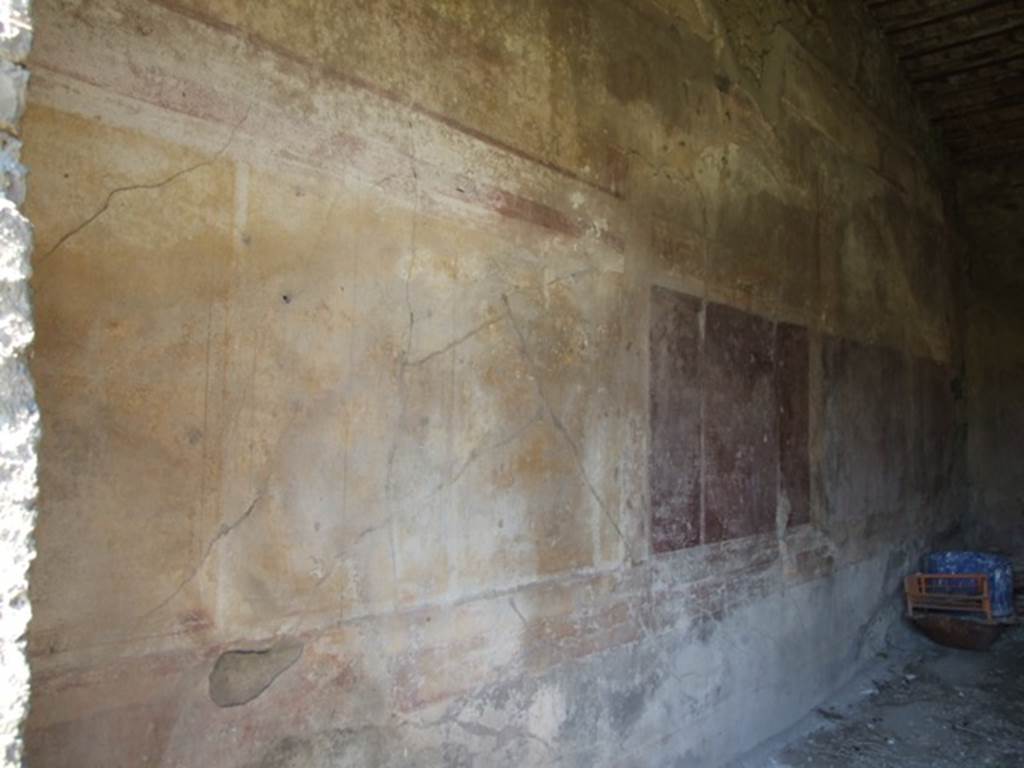 VII.2.16 Pompeii. March 2009. Room 20, west wall of triclinium.