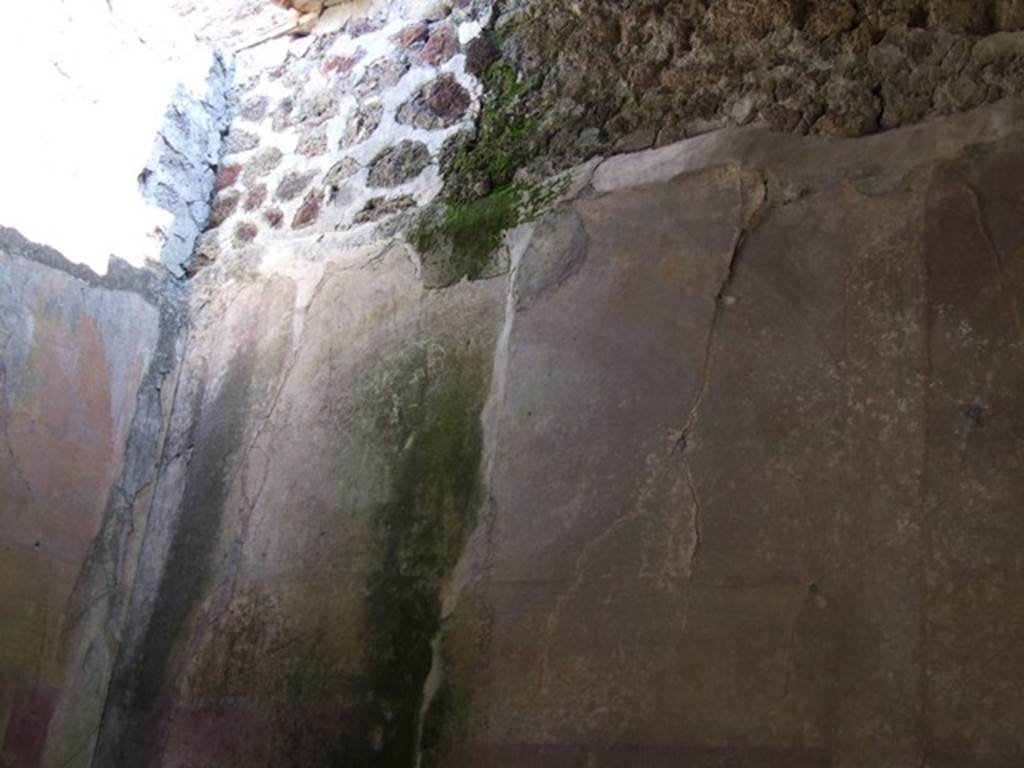 VII.2.16 Pompeii. March 2009. Room 20, east wall of triclinium.