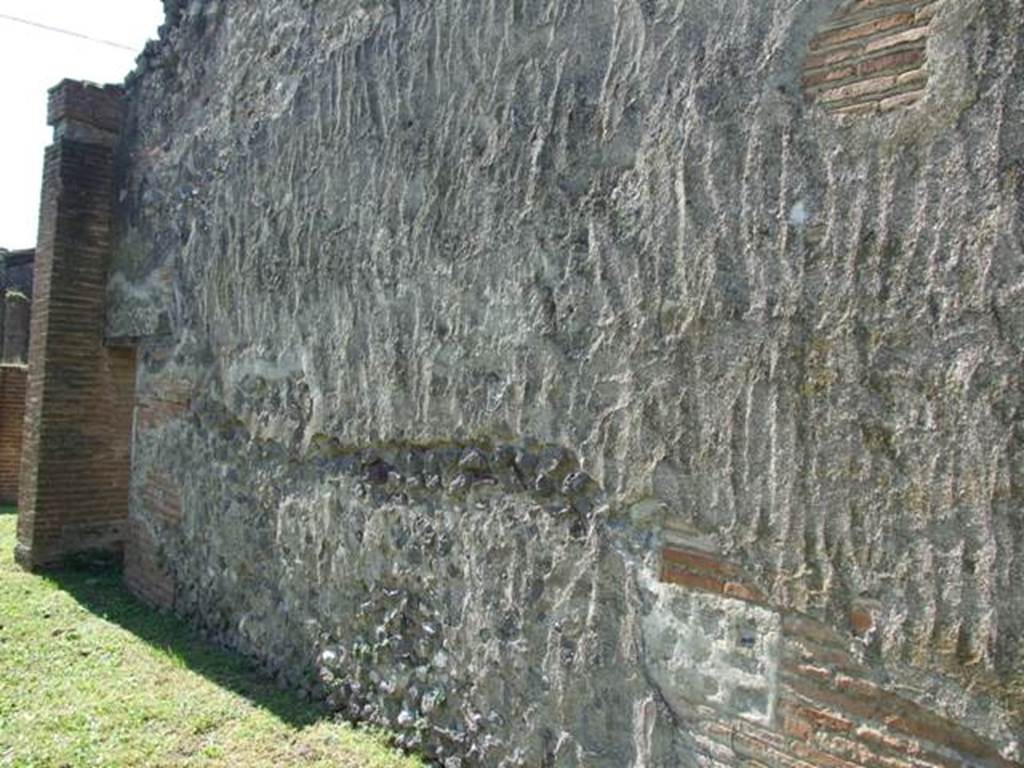 VII.2.18 Pompeii. March 2009. Room 10, west wall of tablinum.