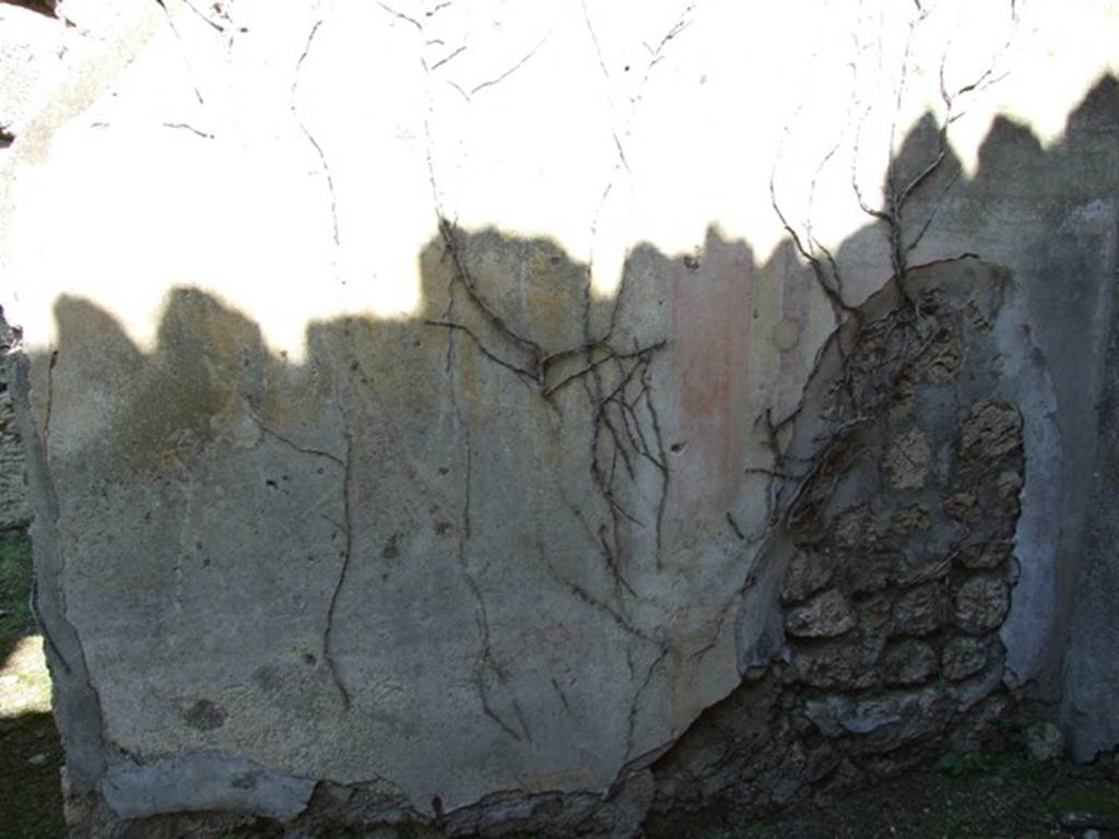 VII.2.20 Pompeii. March 2009. Room 6, north wall of ala.