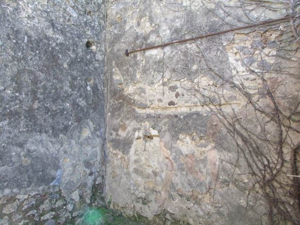 VII.2.20 Pompeii. March 2009. Room 6, south wall of ala.
