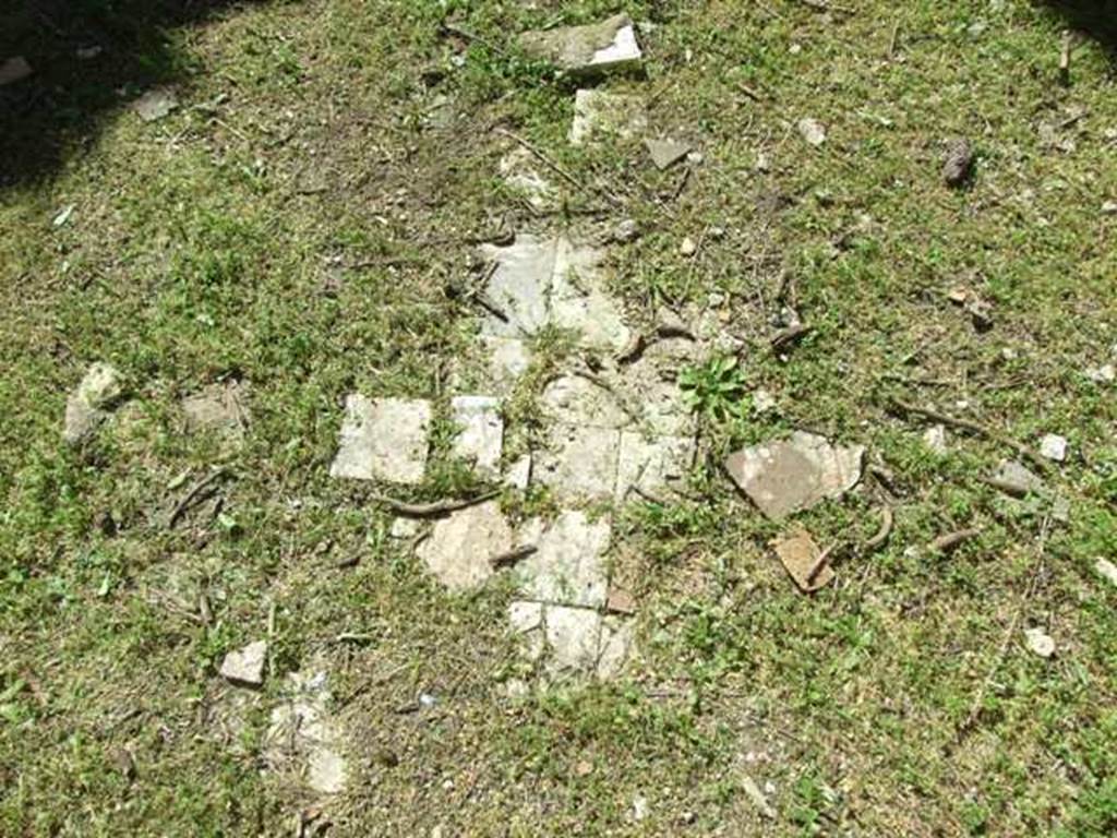 VII.2.20 Pompeii. March 2009. Room 11, remains of floor in triclinium.