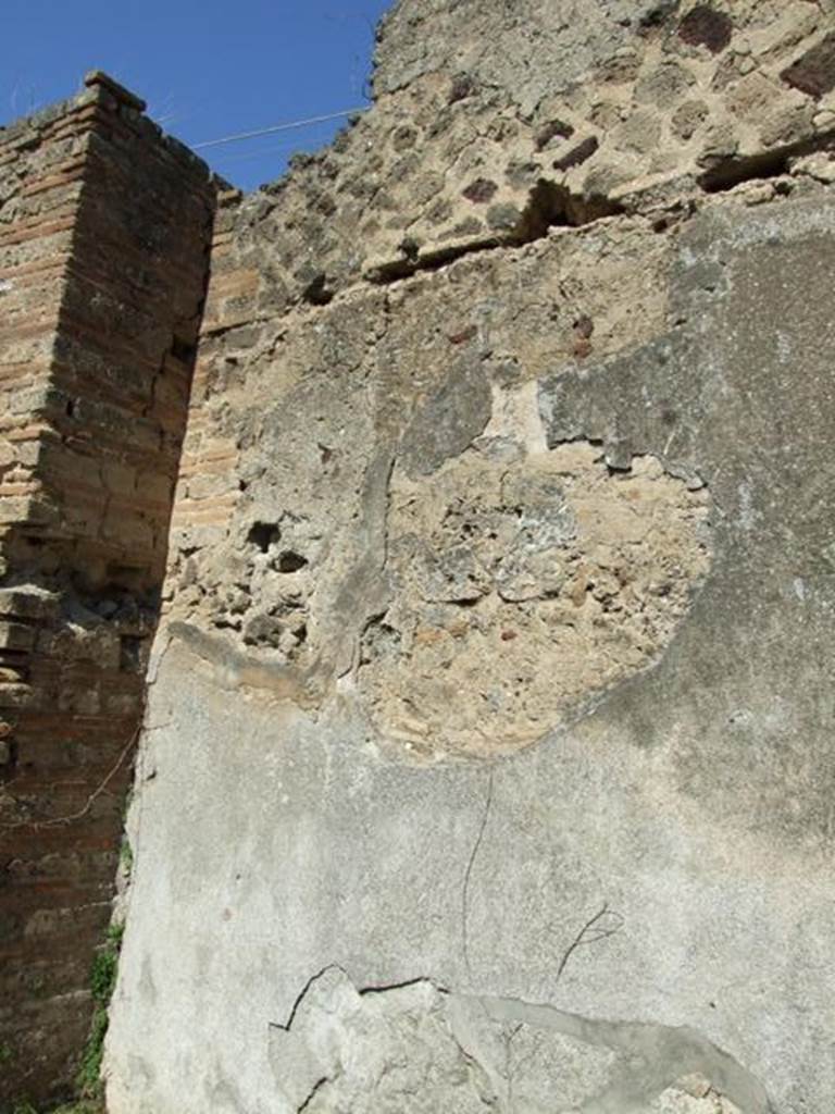 VII.2.20 Pompeii. March 2009. Room 12, north wall of triclinium.