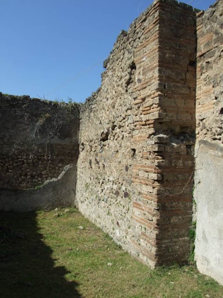 VII.2.20 Pompeii. March 2009. Room 12, north wall of triclinium.