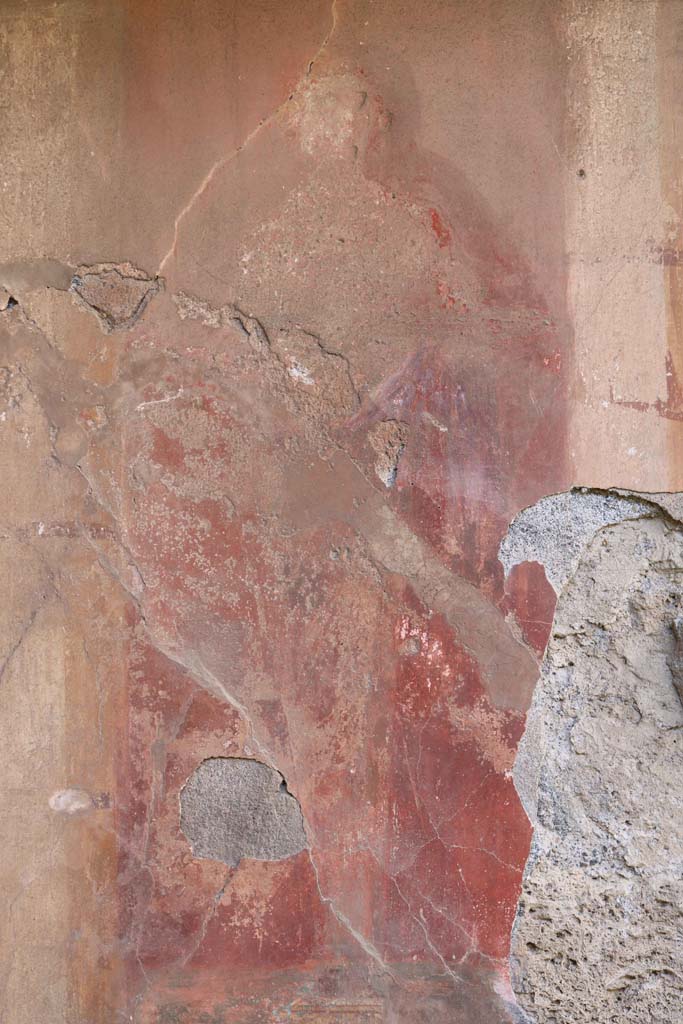 VII.2.20 Pompeii. December 2018. 
Tablinum 13, detail of painting on north wall in north-west corner.  Photo courtesy of Aude Durand.