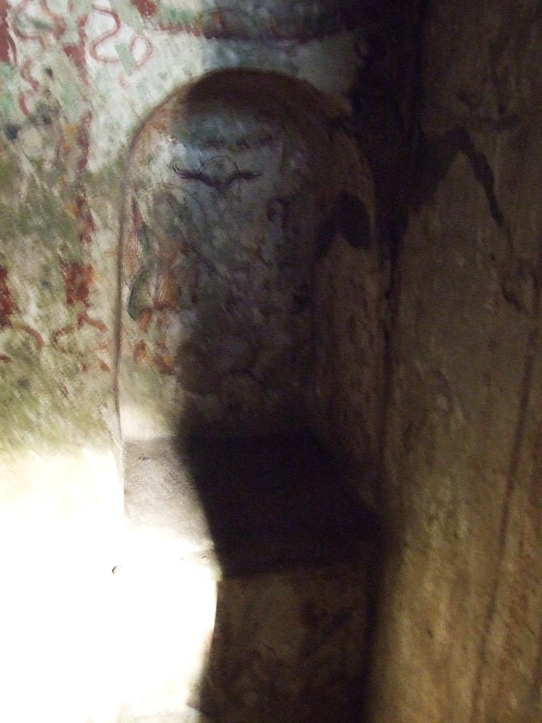 VII.2.20 Pompeii. December 2007. Sacellum, niche to the right of north wall.
According to Boyce, on the rear wall of this niche, two Lares standing one on each side of a flaming altar.
Above their heads is a flying eagle.