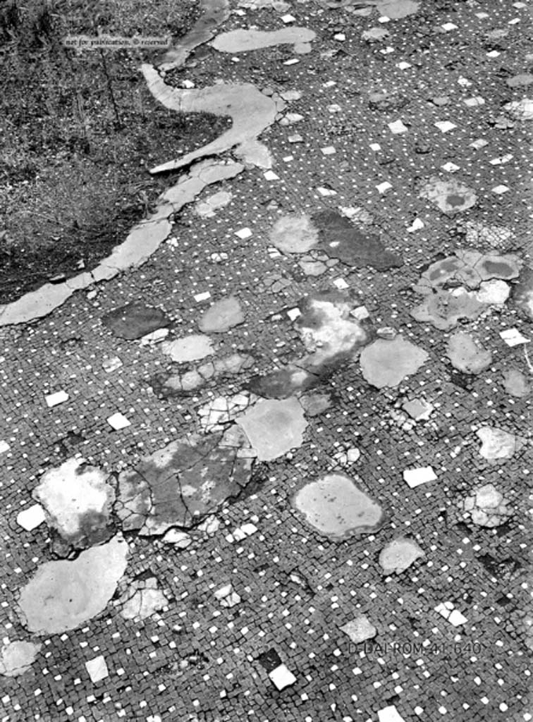 VII.2.20 Pompeii. c.1930. Flooring in atrium.
DAIR 41.640. Photo © Deutsches Archäologisches Institut, Abteilung Rom, Arkiv.
See Pernice, E.  1938. Pavimente und Figürliche Mosaiken: Die Hellenistische Kunst in Pompeji, Band VI. Berlin: de Gruyter, (tav. 20,2, above.)