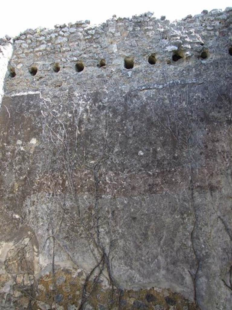 VII.2.20 Pompeii.  March 2009.  Room 3. Cubiculum. East wall.