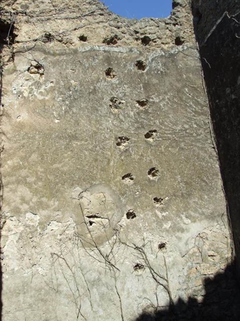 VII.2.20 Pompeii.  March 2009.  Room 3. Cubiculum. North wall.