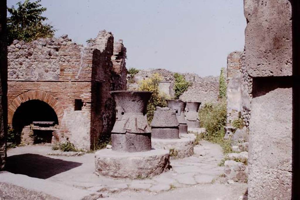 VII.2.22 Pompeii. 1964. Looking east from entrance doorway.  Photo by Stanley A. Jashemski.
Source: The Wilhelmina and Stanley A. Jashemski archive in the University of Maryland Library, Special Collections (See collection page) and made available under the Creative Commons Attribution-Non Commercial License v.4. See Licence and use details.
J64f0885