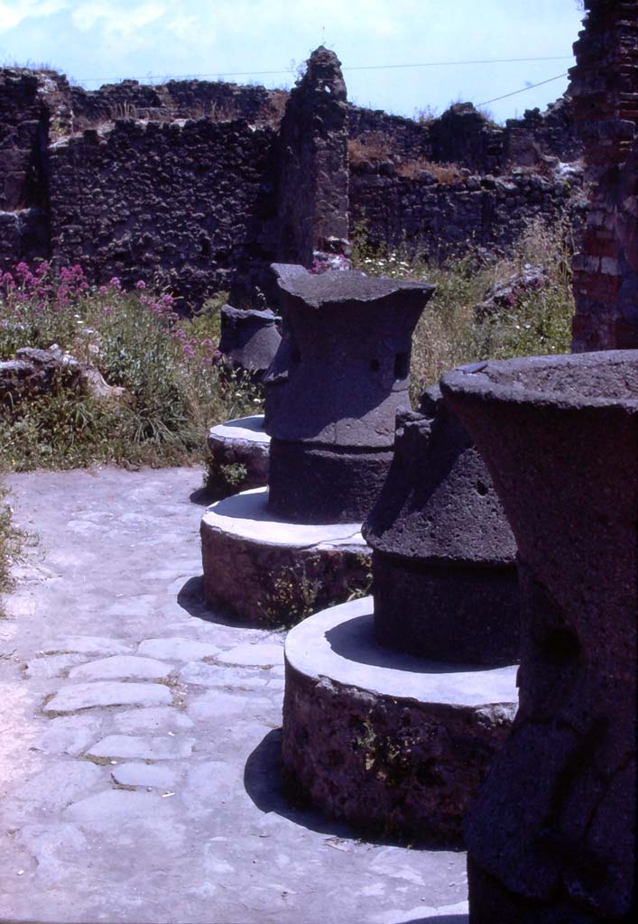 VII.2.22 Pompeii. July 1980. Looking east across mills in bakery. 
Photo courtesy of Rick Bauer, from Dr George Fay’s slides collection.
