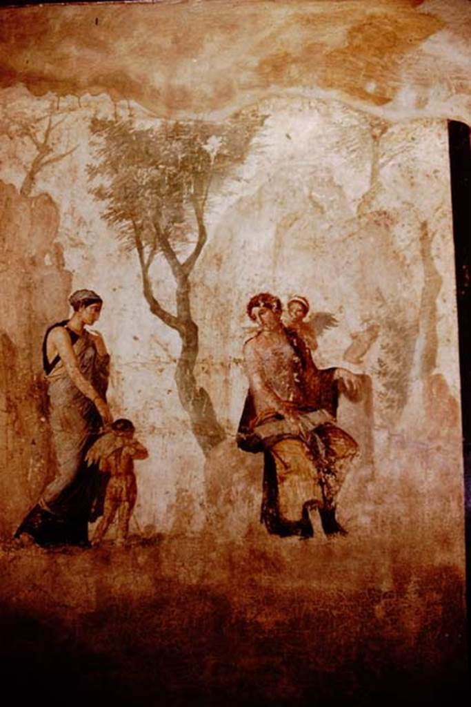 VII.2.23 Pompeii. 1964.  Wall painting of Persuasion brings Love (Amor) to Venus for punishment for firing his arrow at the wrong target. Found on the north wall of the tablinum on 5th August 1844. Now in Naples Archaeological Museum.  Inventory number 9257. Photo by Stanley A. Jashemski.
Source: The Wilhelmina and Stanley A. Jashemski archive in the University of Maryland Library, Special Collections (See collection page) and made available under the Creative Commons Attribution-Non Commercial License v.4. See Licence and use details. J64f1054