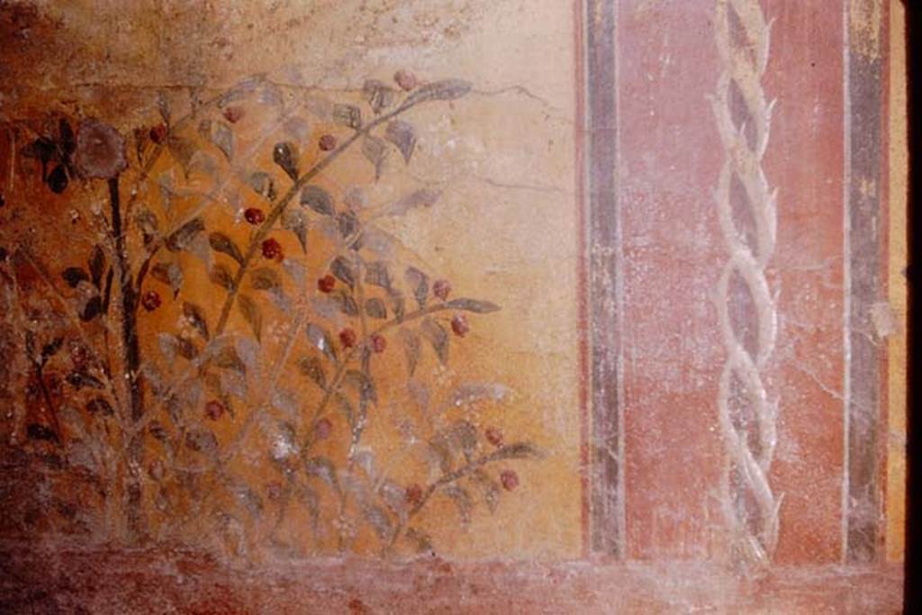 VII.2.25 Pompeii. 1964. Painted decoration below niche at north end of east wall. Photo by Stanley A. Jashemski.
Source: The Wilhelmina and Stanley A. Jashemski archive in the University of Maryland Library, Special Collections (See collection page) and made available under the Creative Commons Attribution-Non Commercial License v.4. See Licence and use details.
J64f1576