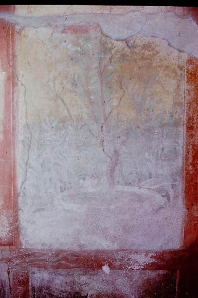 VII.2.25 Pompeii. 1961. Panel at west end of south wall, with plants, birds and a labrum.  Photo by Stanley A. Jashemski.
Source: The Wilhelmina and Stanley A. Jashemski archive in the University of Maryland Library, Special Collections (See collection page) and made available under the Creative Commons Attribution-Non Commercial License v.4. See Licence and use details.
J61f0764