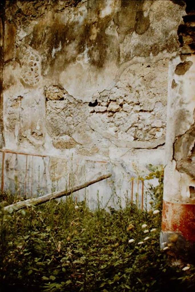 VII.2.48 Pompeii. 1959. North wall of garden area. Photo by Stanley A. Jashemski.
Source: The Wilhelmina and Stanley A. Jashemski archive in the University of Maryland Library, Special Collections (See collection page) and made available under the Creative Commons Attribution-Non Commercial License v.4. See Licence and use details. J59f0403   
According to PPM, the area had a simple decoration with a low black zoccolo (dado or plinth) with splashes of yellow and panels with painted plants. The middle zones of the walls were also black and contained panels separated by narrow compartments crossed by golden candelabra. Above these, the walls were covered with a rough plaster, visible under which were the remains of a more ancient decoration.
See Carratelli, G. P., 1990-2003. Pompei: Pitture e Mosaici, vol. VI. Roma: Istituto della enciclopedia italiana. (p.800)