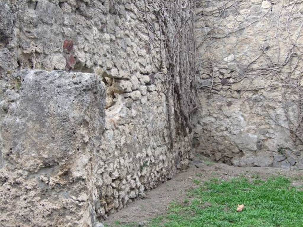 VII.2.50 Pompeii. December 2007. West wall.