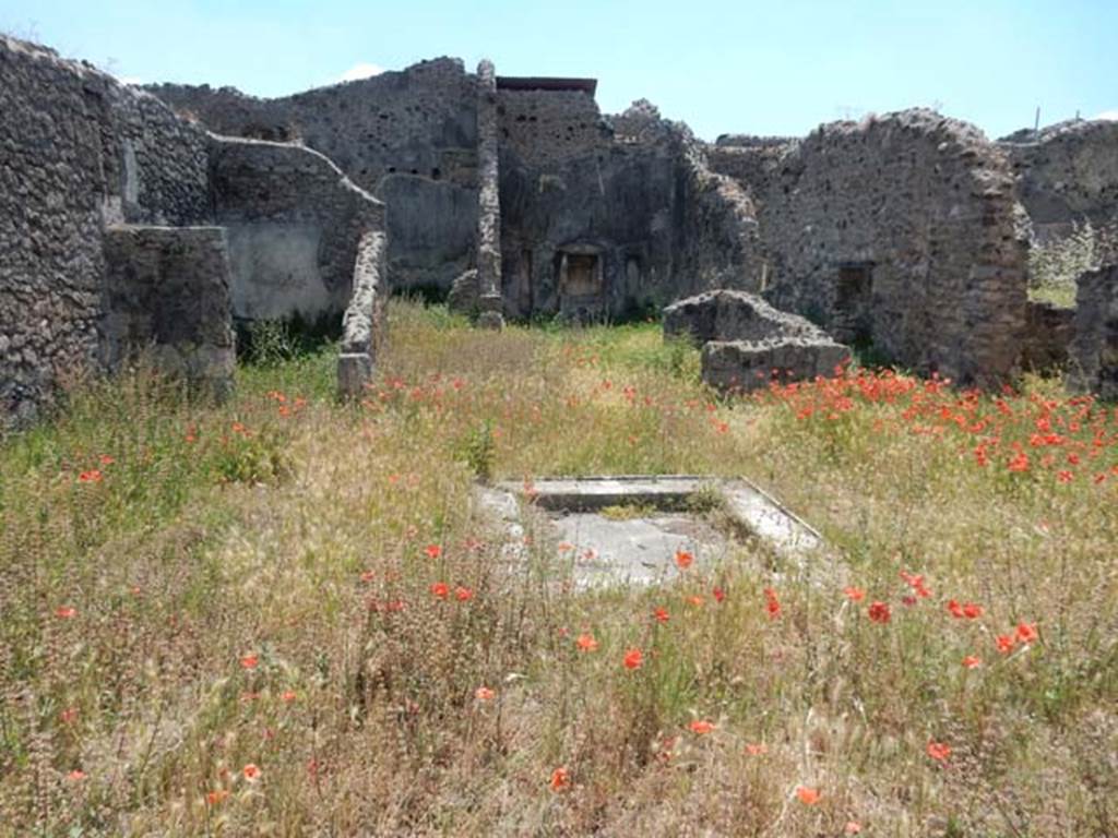 VII.3.6 Pompeii. May 2017. Looking south across atrium through tablinum to garden at rear. Photo courtesy of Buzz Ferebee.