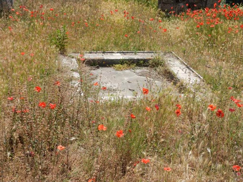 VII.3.6 Pompeii. May 2017. Looking south across impluvium in atrium. Photo courtesy of Buzz Ferebee.