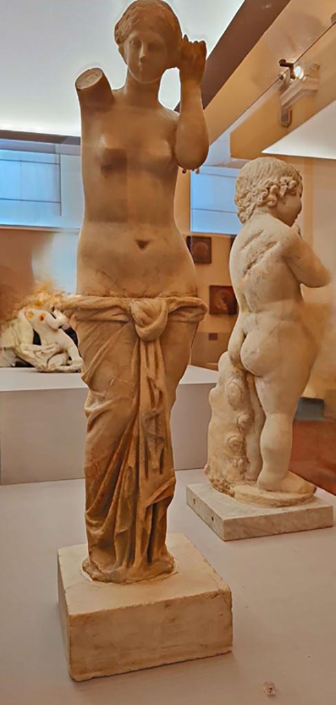 VII.3.6 Pompeii. October 2023.
Marble statuette of Venus Anadyomene, found in the aedicula lararium on south wall of garden. 
Photo courtesy of Giuseppe Ciaramella. 
On display in “L’altra MANN” exhibition, October 2023, at Naples Archaeological Museum.