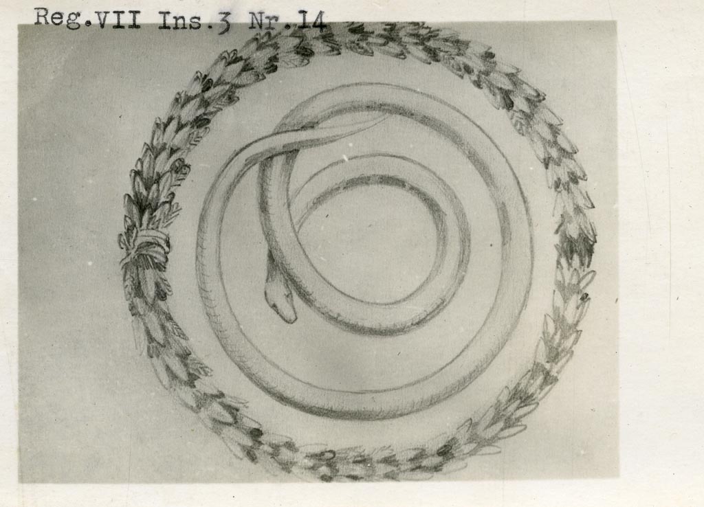 VII.3.13 Pompeii, but shown as VII.3.14 on photo. Pre-1937-39. 
Drawing of stucco serpent set into a wreath of laurel (diam. 0.70) found on the east wall of the lower lararium.
Photo courtesy of American Academy in Rome, Photographic Archive. Warsher collection no. 510.
See Carratelli, G. P., 1990-2003. Pompei: Pitture e Mosaici. VI. (6). Roma: Istituto della enciclopedia italiana, p. 869.