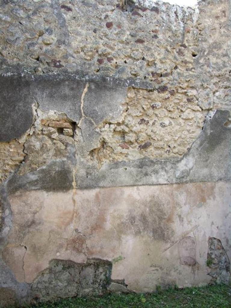 VII.3.29 Pompeii.  March 2009.  Room 4.  West wall.