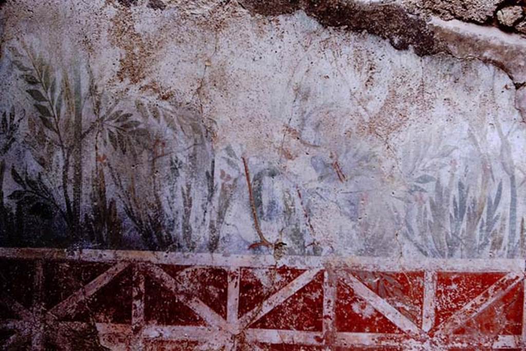VII.3.30 Pompeii. 1966. Garden area 5, north wall with remains of garden paintings. One of the two herons can just about be seen in the above photo. In the centre of the west wall, a crater fountain was visible. Photo by Stanley A. Jashemski.
Source: The Wilhelmina and Stanley A. Jashemski archive in the University of Maryland Library, Special Collections (See collection page) and made available under the Creative Commons Attribution-Non Commercial License v.4. See Licence and use details.
J66f0659