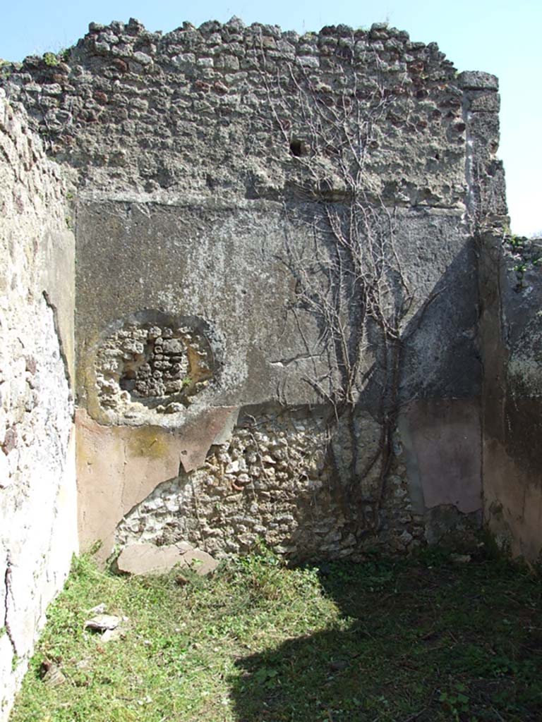 VII.3.30 Pompeii. March 2009. Room 9, east wall of triclinium.