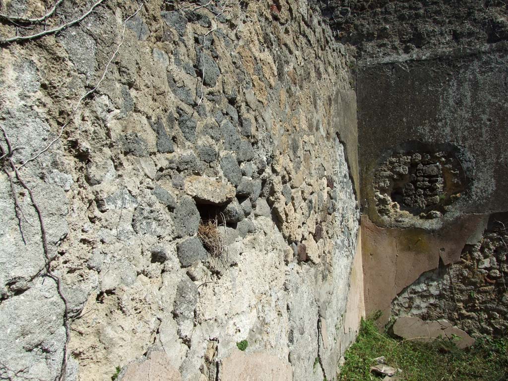VII.3.30 Pompeii. March 2009. Room 9, north wall of triclinium.