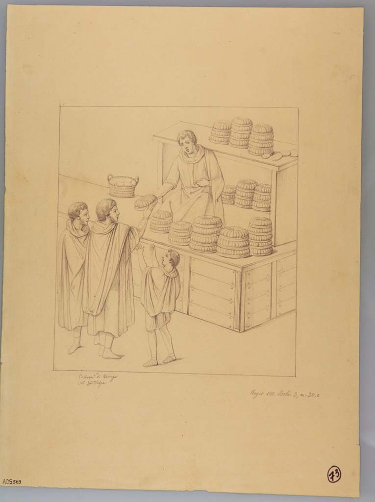 VII.3.30 Pompeii. Drawing by Nicola La Volpe, of painting found in the tablinum (and taken to Naples Museum, inventory number 9071).  
Now in Naples Archaeological Museum. Inventory number ADS 569.
Photo © ICCD. http://www.catalogo.beniculturali.it
Utilizzabili alle condizioni della licenza Attribuzione - Non commerciale - Condividi allo stesso modo 2.5 Italia (CC BY-NC-SA 2.5 IT)