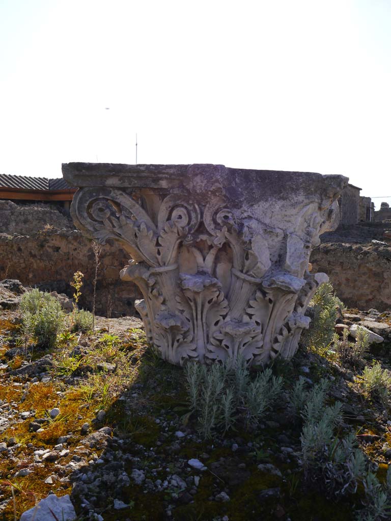 VII.4.1, Pompeii. March 2019. Capital on upper podium/portico, looking east.
Foto Anne Kleineberg, ERC Grant 681269 DÉCOR.
