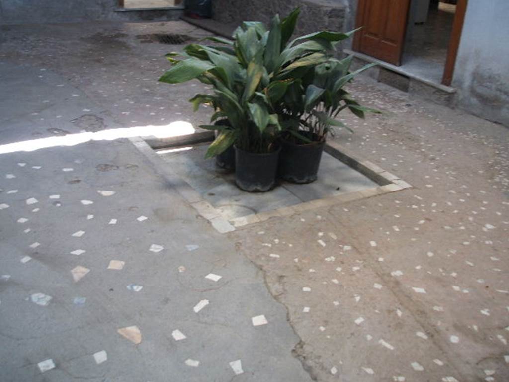 VII.4.10 Pompeii. September 2005. Impluvium in atrium. 
This house took its name from a life-size painting of a sitting Bacchus with a panther at his feet, which decorated the atrium. (Helbig 391)
In the exedra nearby were another three paintings, found August 1826 –
Venus and Adonis (Helbig 339), Cimon and Pero (Helbig 1376), and Hector, Andromache and Astyanax (Helbig 1314).  
A beautiful marble floor was transported to the museum on 22nd July 1828.
See Breton, Ernest. 1870. Pompeia, Guide de visite a Pompei, 3rd ed. Paris, Guerin. 
See Helbig, W., 1868. Wandgemälde der vom Vesuv verschütteten Städte Campaniens. Leipzig: Breitkopf und Härtel.
See Kuivalainen, I., 2021. The Portrayal of Pompeian Bacchus. Commentationes Humanarum Litterarum 140. Helsinki: Finnish Society of Sciences and Letters, (p.120, C21).