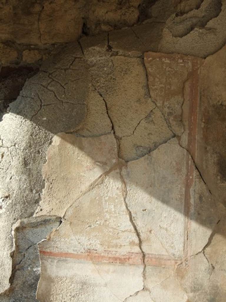 VII.4.31/51 Pompeii. March 2009. 
Room 29, north wall with remains of wall painting.