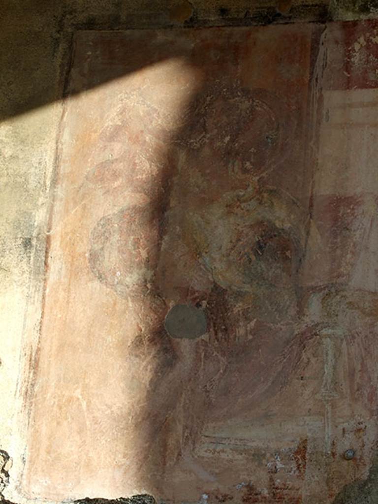 VII.4.31/51 Pompeii. March 2009. 
Room 29, remains of wall painting of Leda and the Swan.