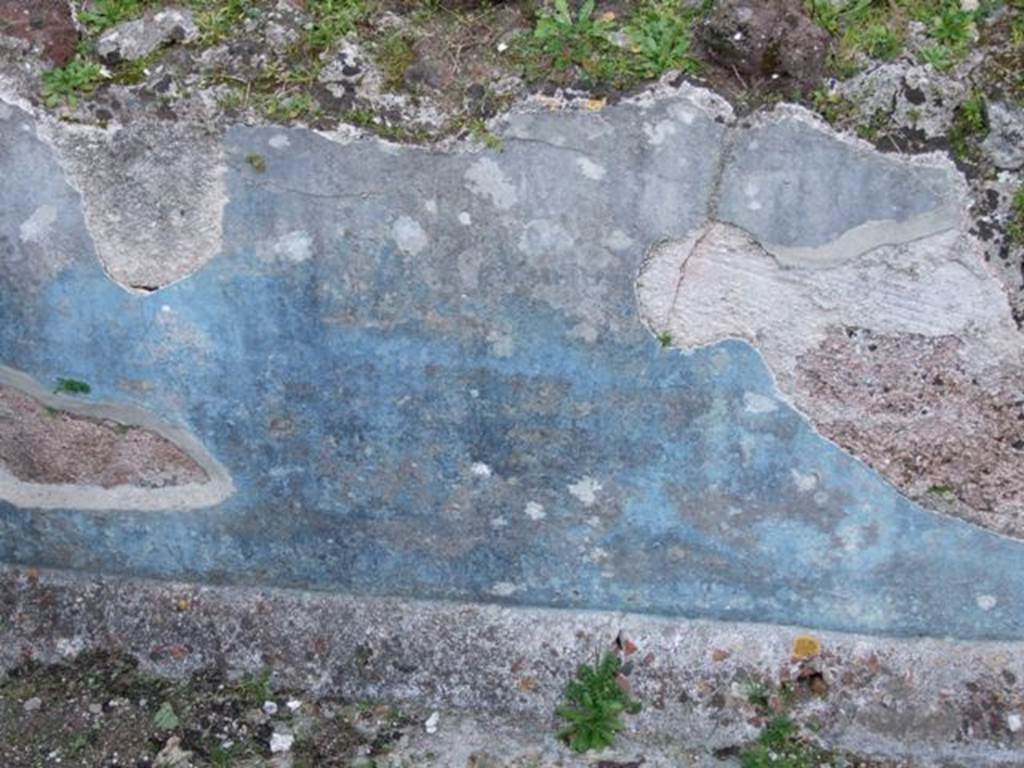 VII.4.31 Pompeii.  March 2009.  Middle Peristyle.  Remains of blue walls in the fish pool.