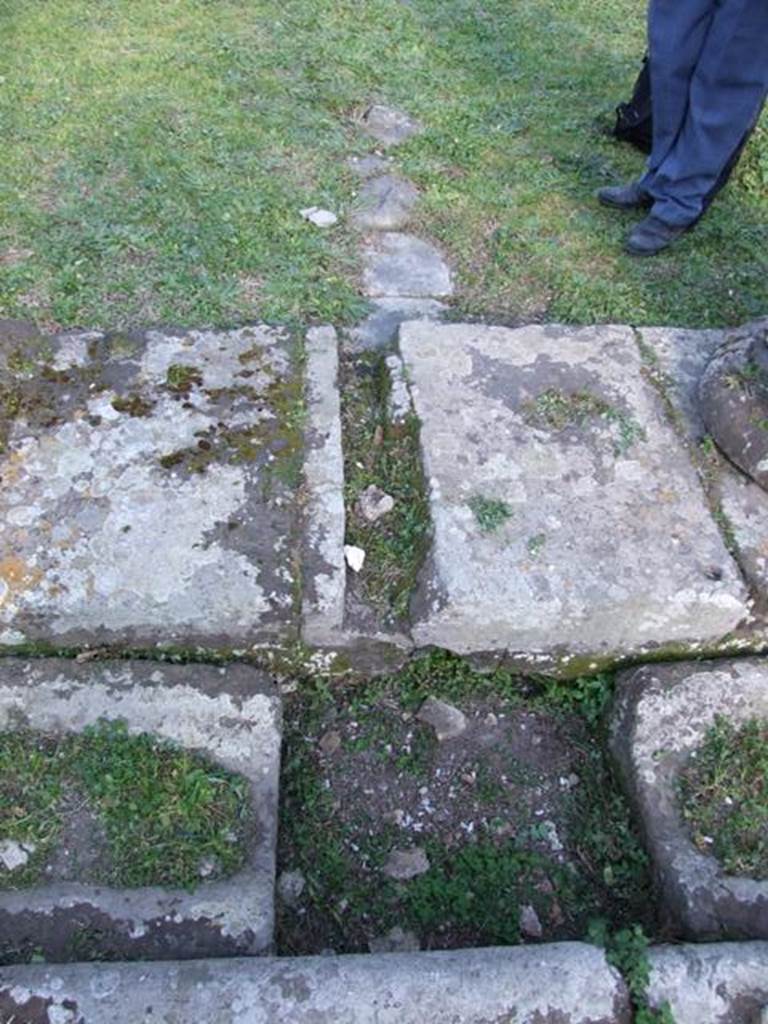 VII.4.31 Pompeii.  March 2009.  Middle Peristyle.  Edge of portico floor, looking east.