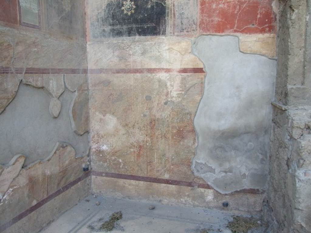 VII.4.31 Pompeii. March 2009. Room 6, west walland south-west corner.
Painted as imitation marble veneer, whereas the Lararium, on the right, was reported as being faced with real marble.