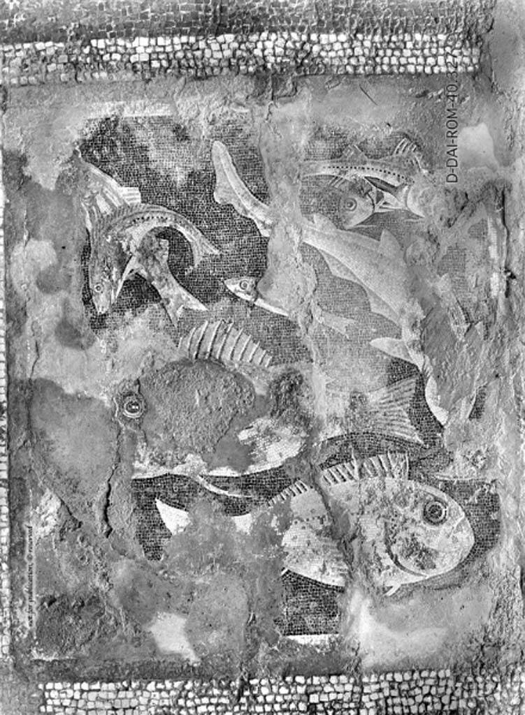VII.4.31/51 Pompeii. c.1930. Room 18, central emblema of exedra.  
DAIR 40.327. Photo © Deutsches Archäologisches Institut, Abteilung Rom, Arkiv.
See Pernice, E.  1938. 
Pavimente und Figürliche Mosaiken: Die Hellenistische Kunst in Pompeji, Band VI. Berlin: de Gruyter, (described as from exedra 22, see tav. 54.2, above.)