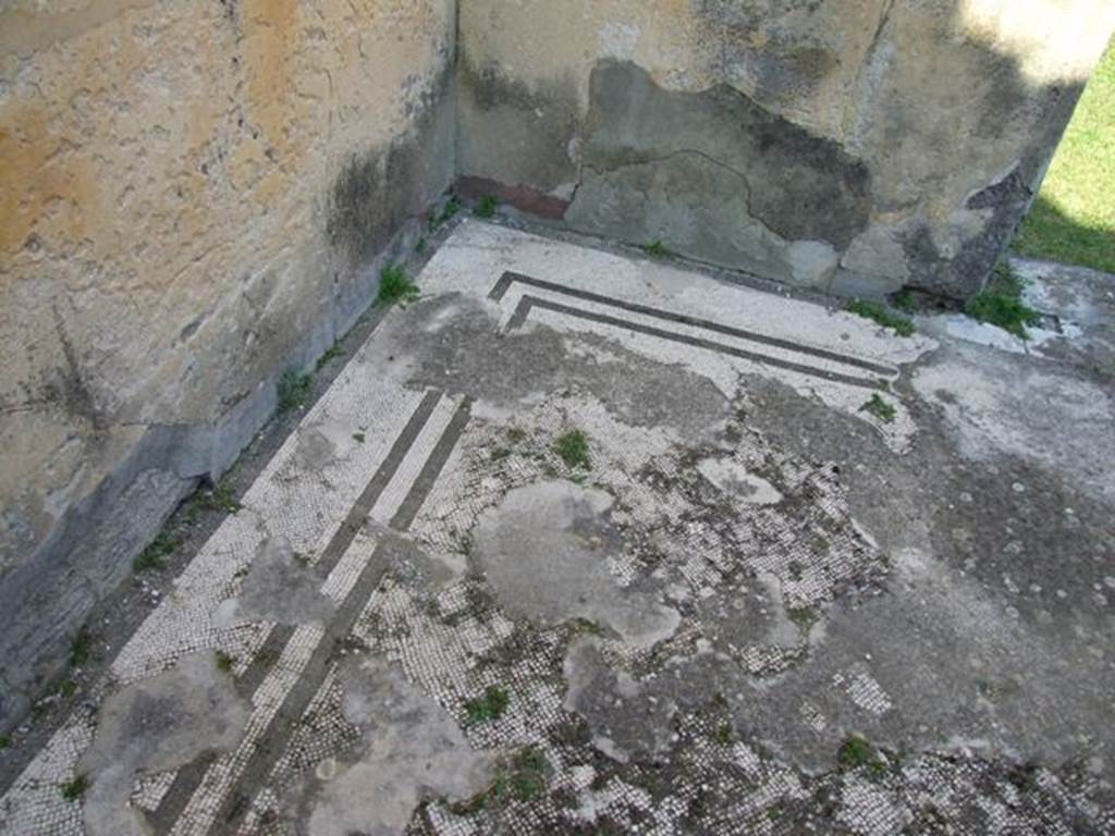 VII.4.31 Pompeii. March 2009. Room 20, mosaic floor in north-east corner of oecus.