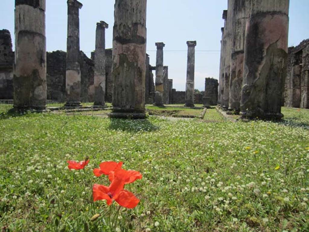 VII.4.31/51 Pompeii. May2012. Detail of columns in middle peristyle, looking south. Photo courtesy of Marina Fuxa.
