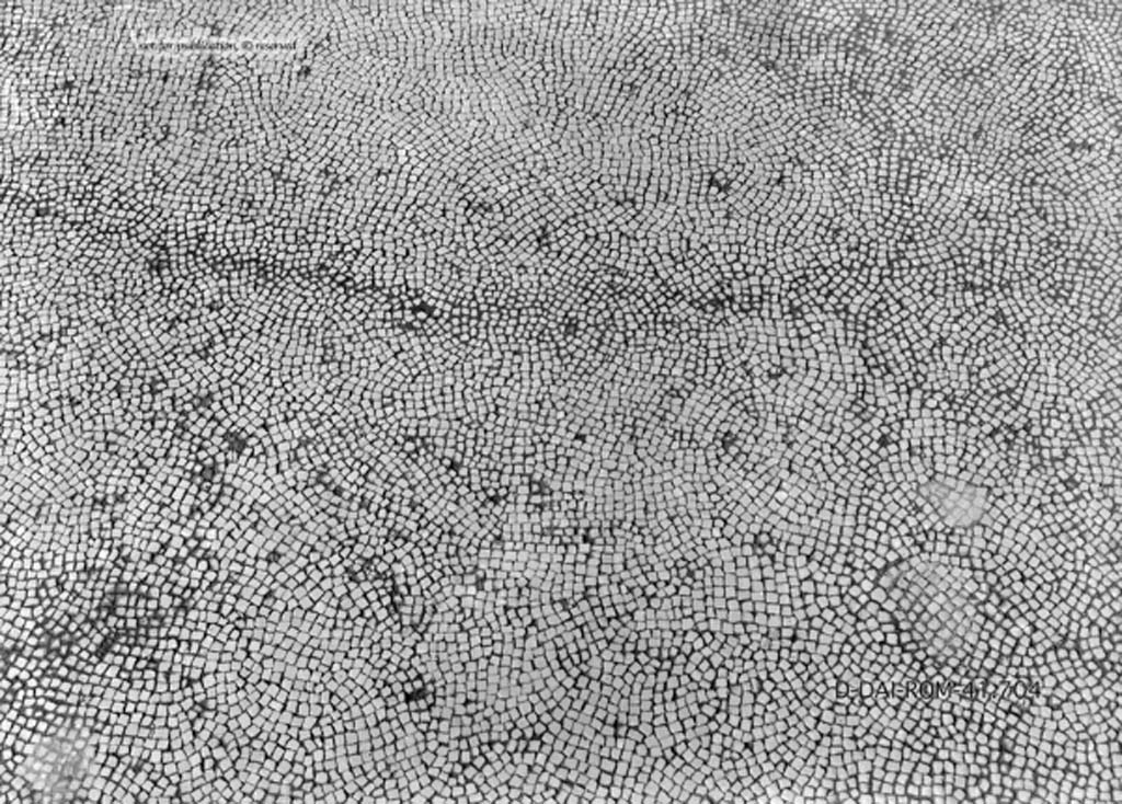 VII.4.31/51 Pompeii. c.1930. Room 23, mosaic floor in exedra/tablinum.
DAIR 41.704. Photo © Deutsches Archäologisches Institut, Abteilung Rom, Arkiv.
See Pernice, E.  1938. Pavimente und Figürliche Mosaiken: Die Hellenistische Kunst in Pompeji, Band VI. Berlin: de Gruyter, (described as tablinum 27, see Taf. 34.5.)